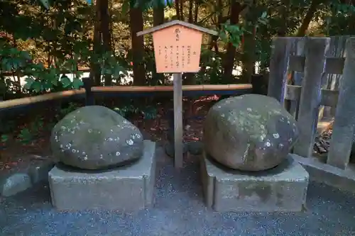 鶴岡八幡宮の自然