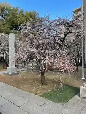 川口神社(埼玉県)