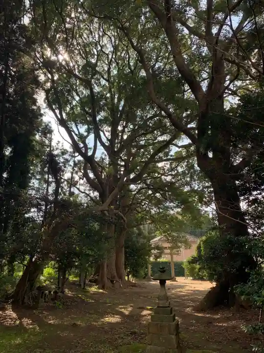 稲荷大神(千葉県)