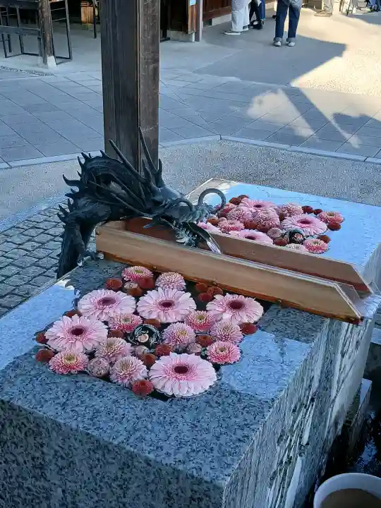 川越八幡宮の{uncategorized: "未分類", other: "その他", undefined: "問題あり", building: "その他建物", grave: "お墓", sacred_gate: "鳥居", guardian: "狛犬", statue: "像", buddha: "仏像", history: "歴史", nature: "自然", garden: "庭園", animal: "動物", pagoda: "塔", temizu: "手水舎", mountain_gate: "山門・神門", sanctuary: "本殿・本堂", subordinate: "末社・摂社", art: "芸術", scenery: "景色", jizo: "地蔵", ema: "絵馬", goshuin: "御朱印", omikuji: "おみくじ", items: "授与品その他", amulet: "お守り", goshuincho: "御朱印帳", eats: "食事", festival: "お祭り", votive_dance: "神楽", shichigosan: "七五三参", wedding: "結婚式", experience: "体験その他", initially: "初詣", around: "周辺", anti_infection: "感染症対策"}