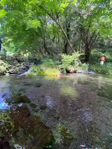 富士山本宮浅間大社の庭園