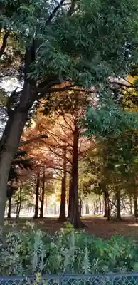 徳島稲荷神社(埼玉県)
