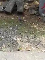 中山鳥瀧神社(宮城県)