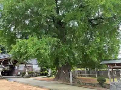 丹生酒殿神社(和歌山県)