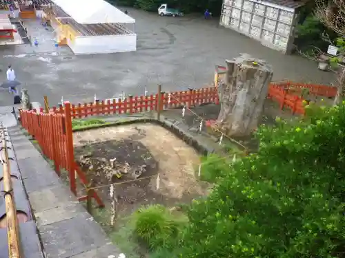 鶴岡八幡宮の自然