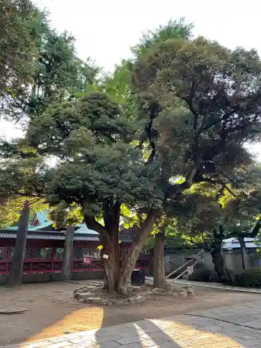 根津神社の自然