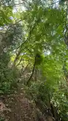 吉高菊一稲荷神社(東京都)