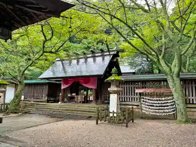 金崎宮の本殿・本堂