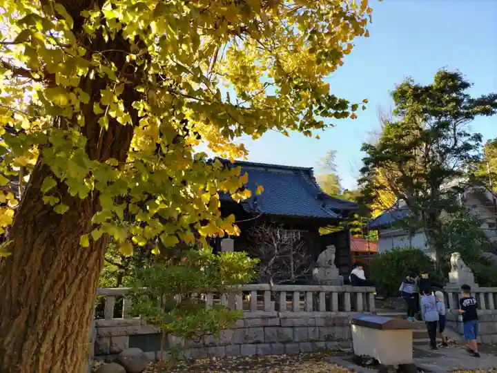 八坂大神の自然