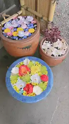 多賀神社の手水舎