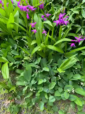 福井神社(福井県)