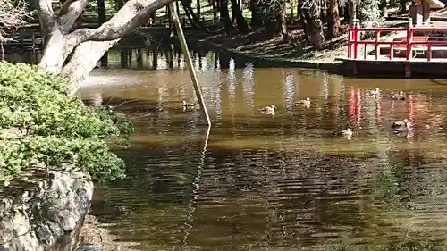 間々田八幡宮の庭園