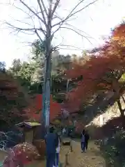 法性寺の建物その他