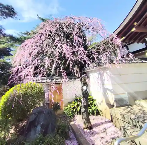 三寳寺の{uncategorized: "未分類", other: "その他", undefined: "問題あり", building: "その他建物", grave: "お墓", sacred_gate: "鳥居", guardian: "狛犬", statue: "像", buddha: "仏像", history: "歴史", nature: "自然", garden: "庭園", animal: "動物", pagoda: "塔", temizu: "手水舎", mountain_gate: "山門・神門", sanctuary: "本殿・本堂", subordinate: "末社・摂社", art: "芸術", scenery: "景色", jizo: "地蔵", ema: "絵馬", goshuin: "御朱印", omikuji: "おみくじ", items: "授与品その他", amulet: "お守り", goshuincho: "御朱印帳", eats: "食事", festival: "お祭り", votive_dance: "神楽", shichigosan: "七五三参", wedding: "結婚式", experience: "体験その他", initially: "初詣", around: "周辺", anti_infection: "感染症対策"}