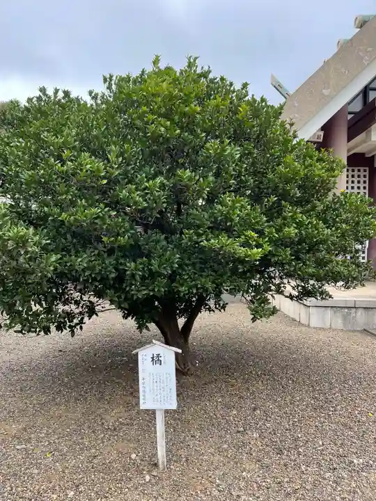 千葉縣護國神社の自然