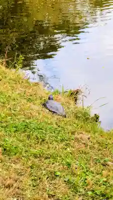 菊田神社の周辺