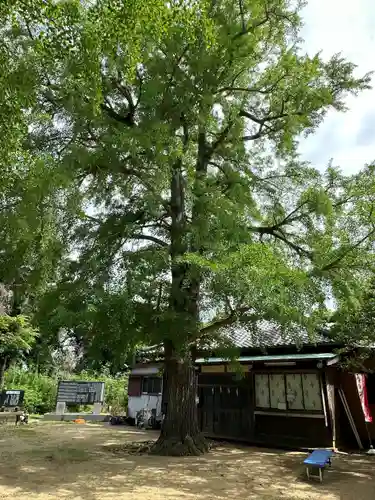 海上八幡宮(千葉県)