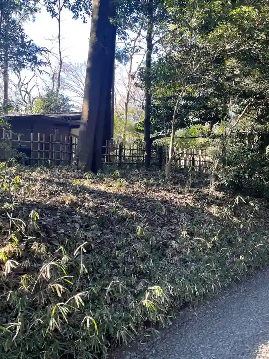 明治神宮(東京都)