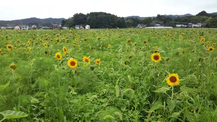 若宮八幡宮の周辺