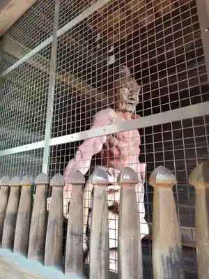 切幡寺(徳島県)