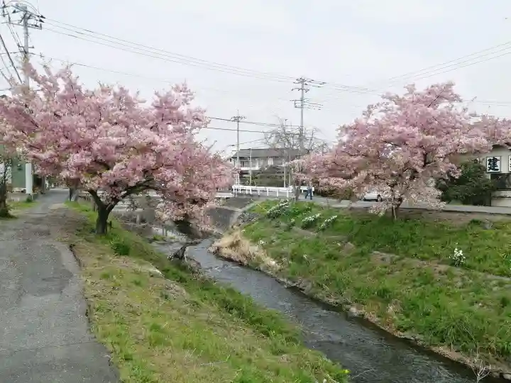 川越氷川神社の{uncategorized: "未分類", other: "その他", undefined: "問題あり", building: "その他建物", grave: "お墓", sacred_gate: "鳥居", guardian: "狛犬", statue: "像", buddha: "仏像", history: "歴史", nature: "自然", garden: "庭園", animal: "動物", pagoda: "塔", temizu: "手水舎", mountain_gate: "山門・神門", sanctuary: "本殿・本堂", subordinate: "末社・摂社", art: "芸術", scenery: "景色", jizo: "地蔵", ema: "絵馬", goshuin: "御朱印", omikuji: "おみくじ", items: "授与品その他", amulet: "お守り", goshuincho: "御朱印帳", eats: "食事", festival: "お祭り", votive_dance: "神楽", shichigosan: "七五三参", wedding: "結婚式", experience: "体験その他", initially: "初詣", around: "周辺", anti_infection: "感染症対策"}