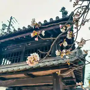 伊勢の国 四天王寺(三重県)(2025年04月02日(水) 08時17分40秒投稿)