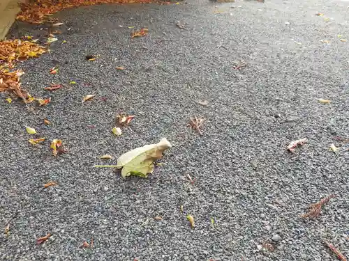 高司神社〜むすびの神の鎮まる社〜の自然