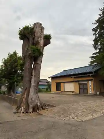 寺院跡(千葉県)