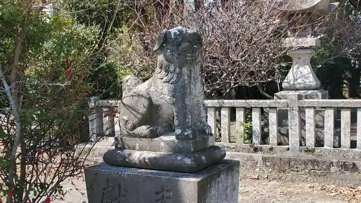 中津神社の狛犬