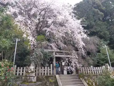 大豊神社(京都府)