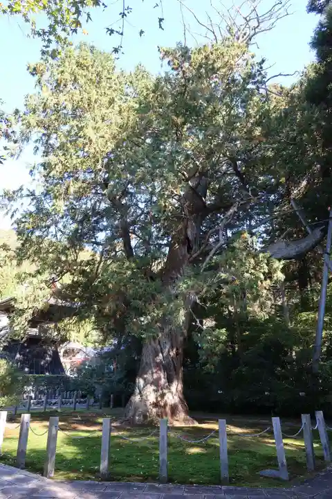 大智寺(岐阜県)