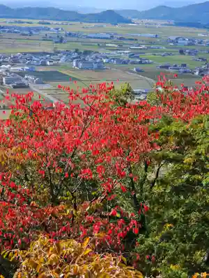 阿賀神社(滋賀県)