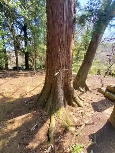 鹿島神社 本殿(栃木県)
