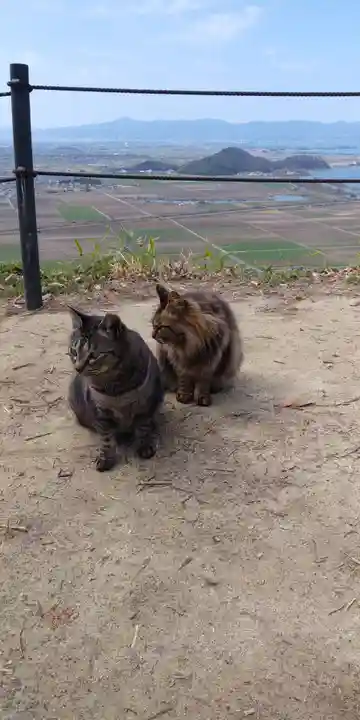 村雲御所瑞龍寺門跡の動物