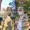 飯綱神社の狛犬