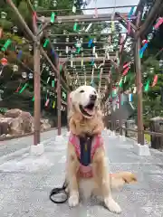 尊永寺の動物