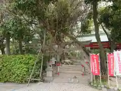 豊藤稲荷神社の自然