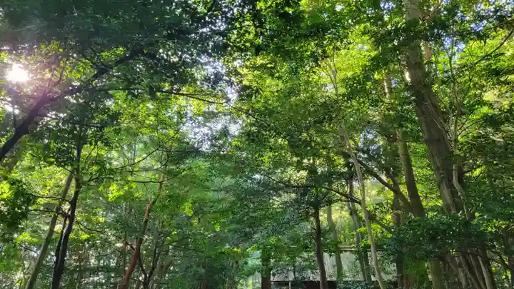 伊雜宮(皇大神宮別宮)(三重県)