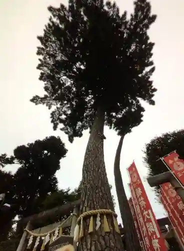 中野沼袋氷川神社(東京都)