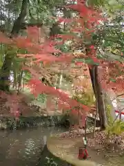 間々田八幡宮の自然