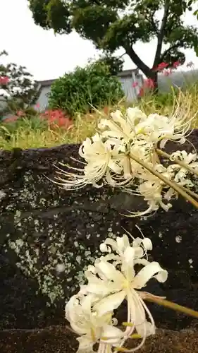 明鏡山龍雲寺の自然