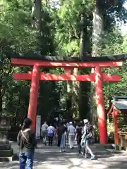 箱根神社の鳥居