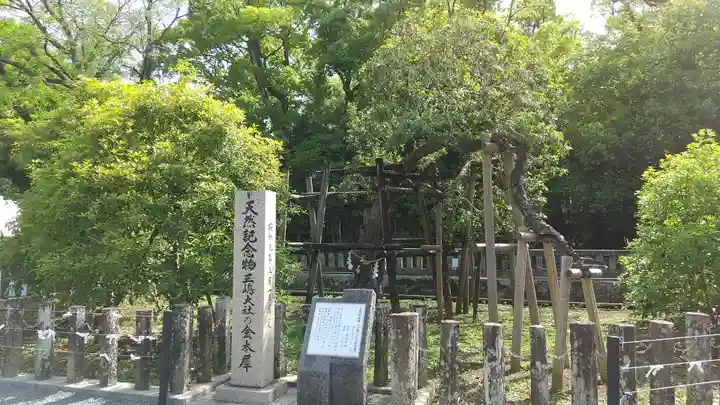 三嶋大社(静岡県)