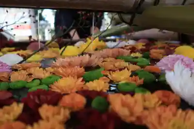 石清水八幡宮の手水舎