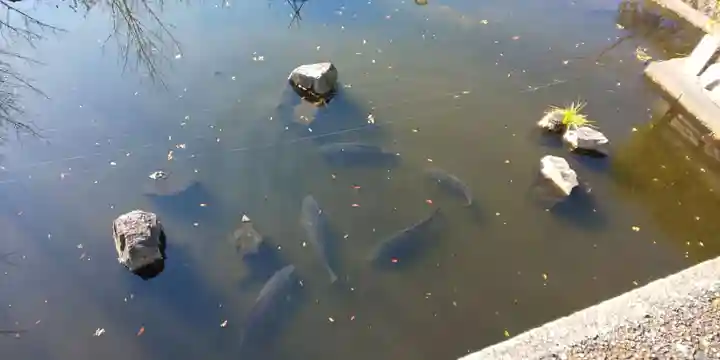六孫王神社(京都府)