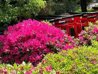 乙女稲荷神社(東京都)