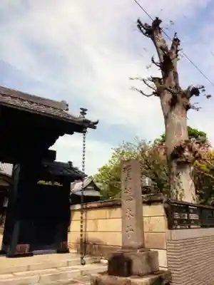 境妙寺(東京都)
