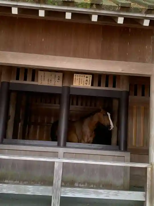 伊勢神宮内宮(皇大神宮)(三重県)