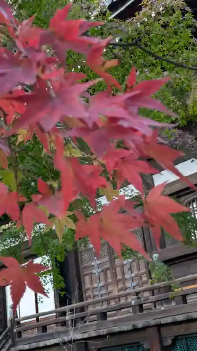 真正極楽寺(真如堂)(京都府)