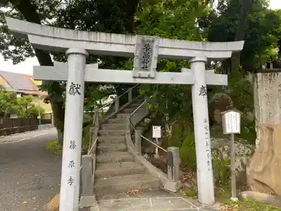 薫的神社(高知県)